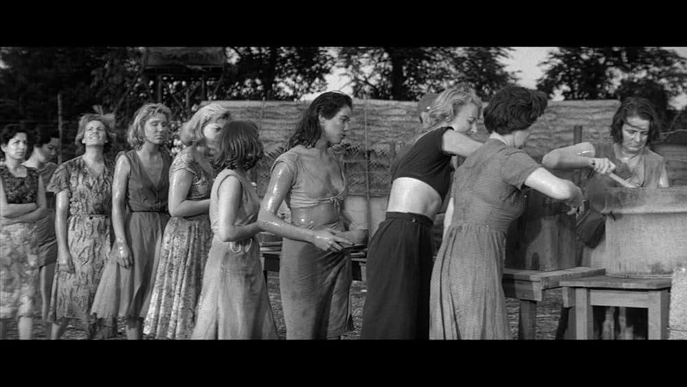 ザ・キャンプ・オン・ブラッド・アイランド（原題）の画像