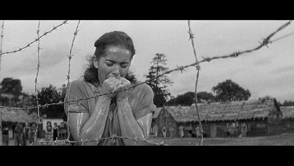 ザ・キャンプ・オン・ブラッド・アイランド（原題）の画像