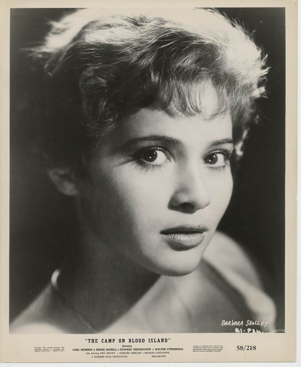 ザ・キャンプ・オン・ブラッド・アイランド（原題）の画像