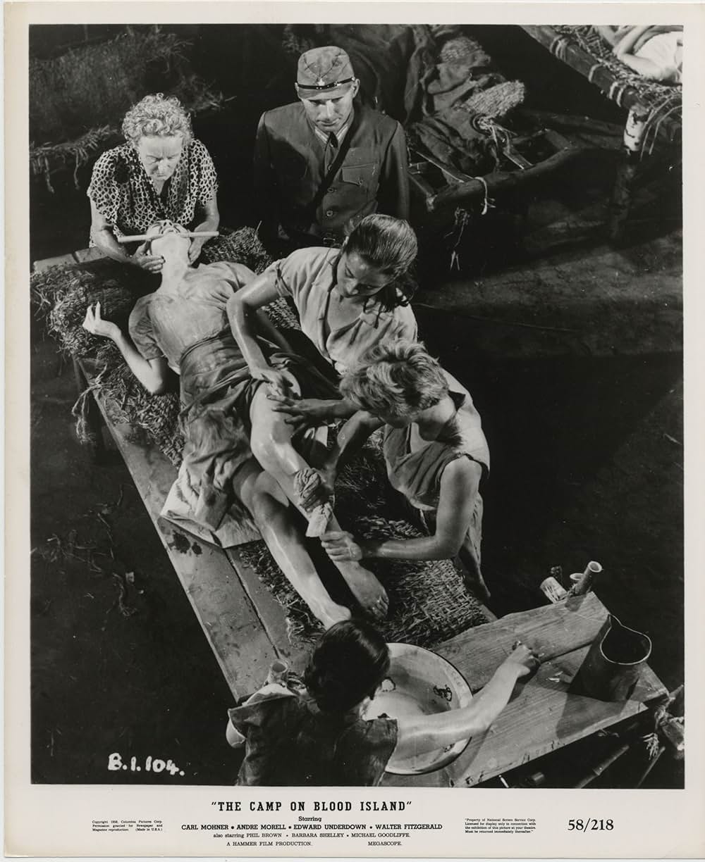 ザ・キャンプ・オン・ブラッド・アイランド（原題）の画像