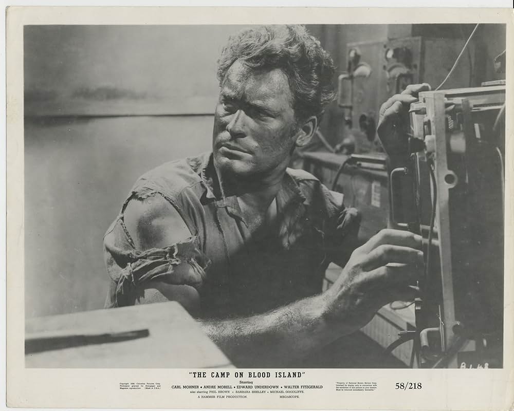 ザ・キャンプ・オン・ブラッド・アイランド（原題）の画像