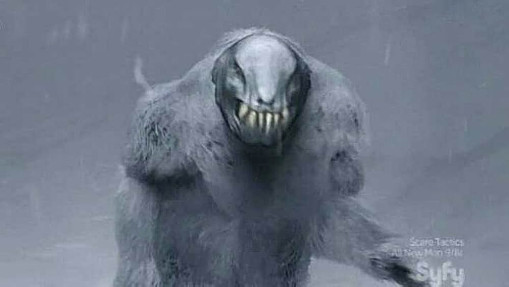 U.M.Aハンターの画像