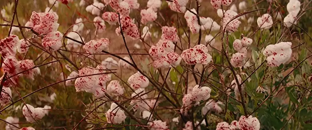 ジャンゴ 繋がれざる者の画像