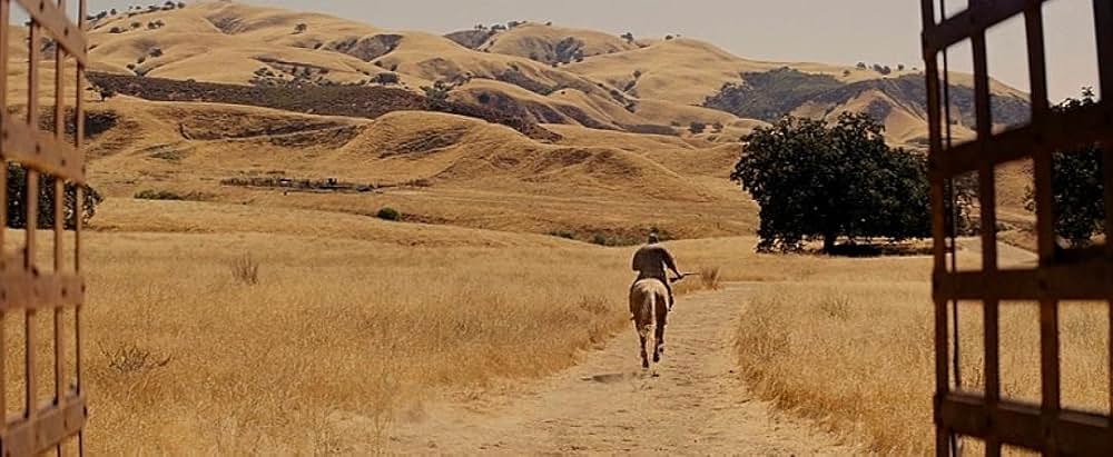 ジャンゴ 繋がれざる者の画像