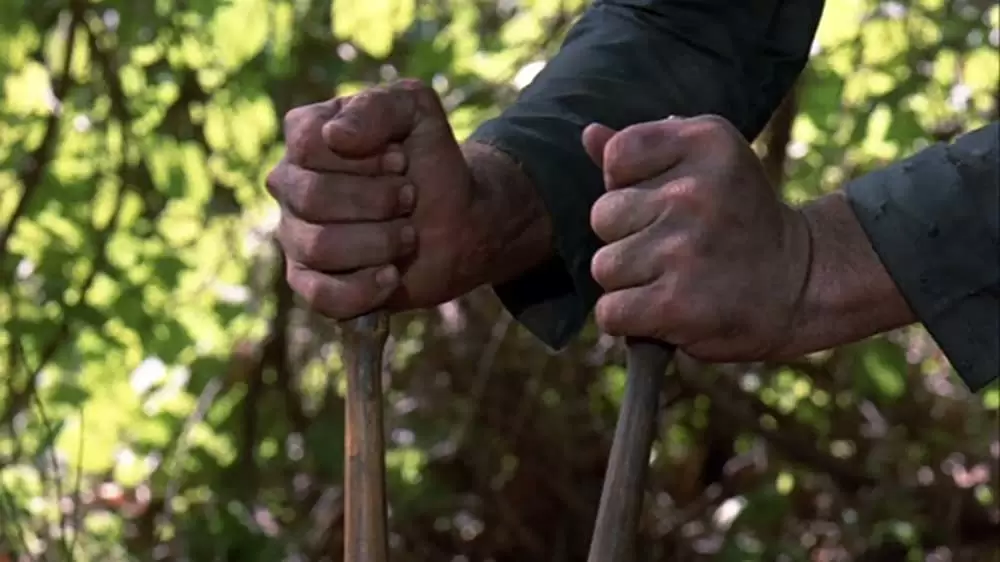 新・13日の金曜日の画像