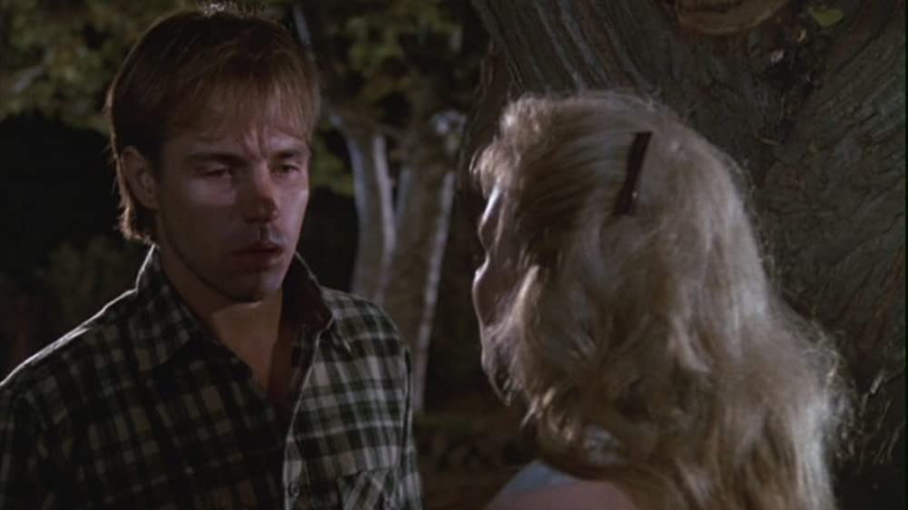 新・13日の金曜日の画像