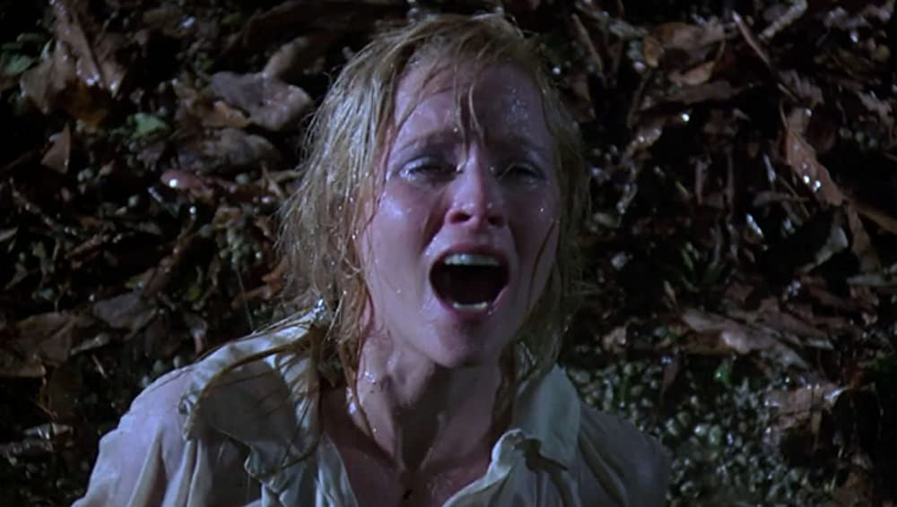 新・13日の金曜日の画像