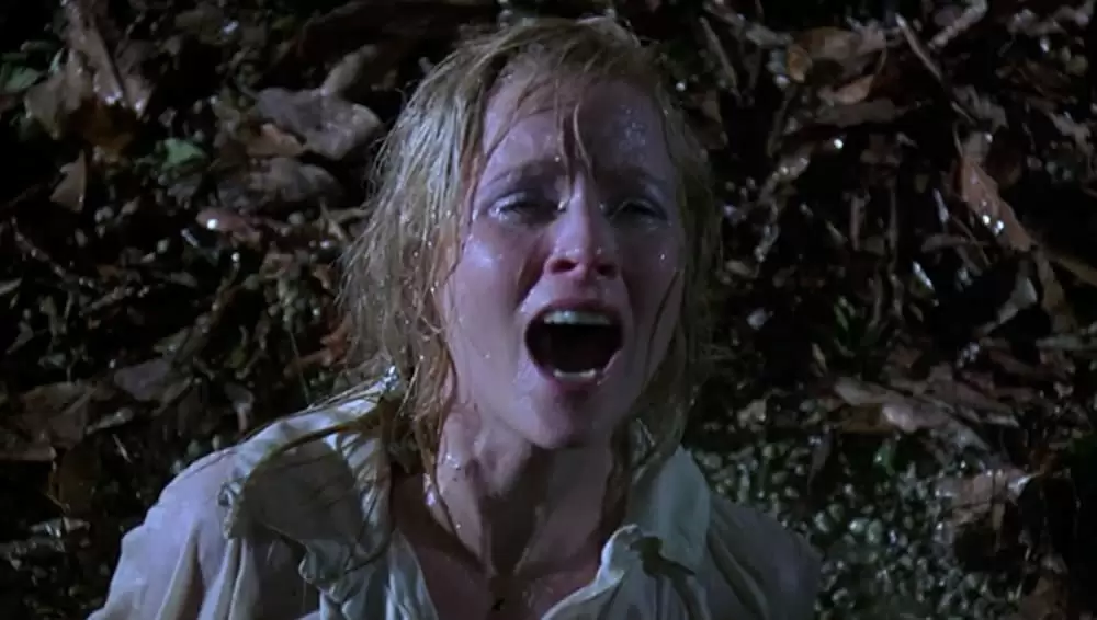 「新・13日の金曜日」Melanie Kinnamanの画像