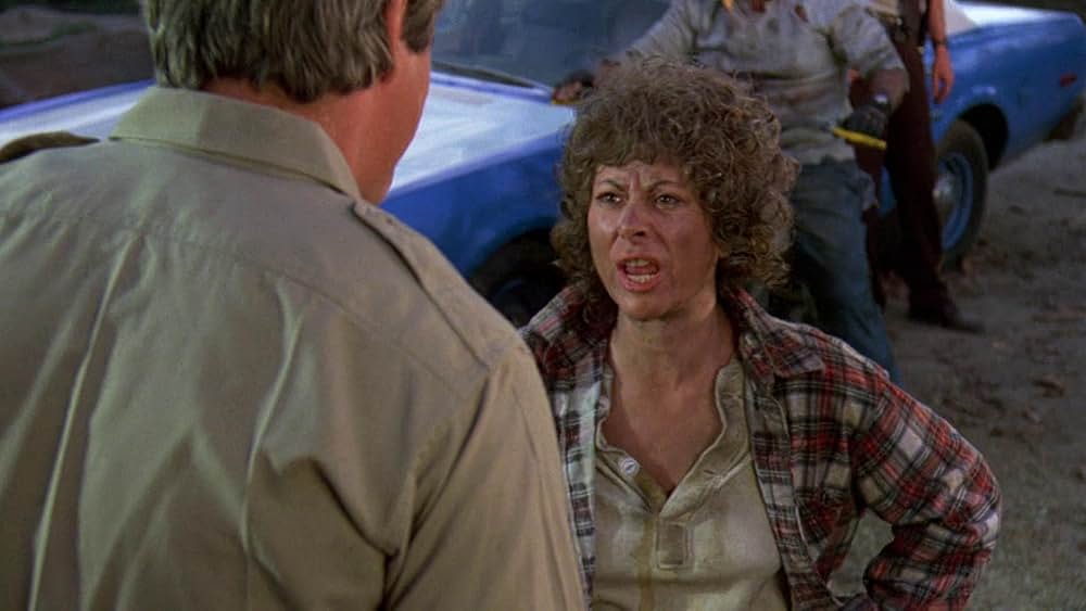 新・13日の金曜日の画像