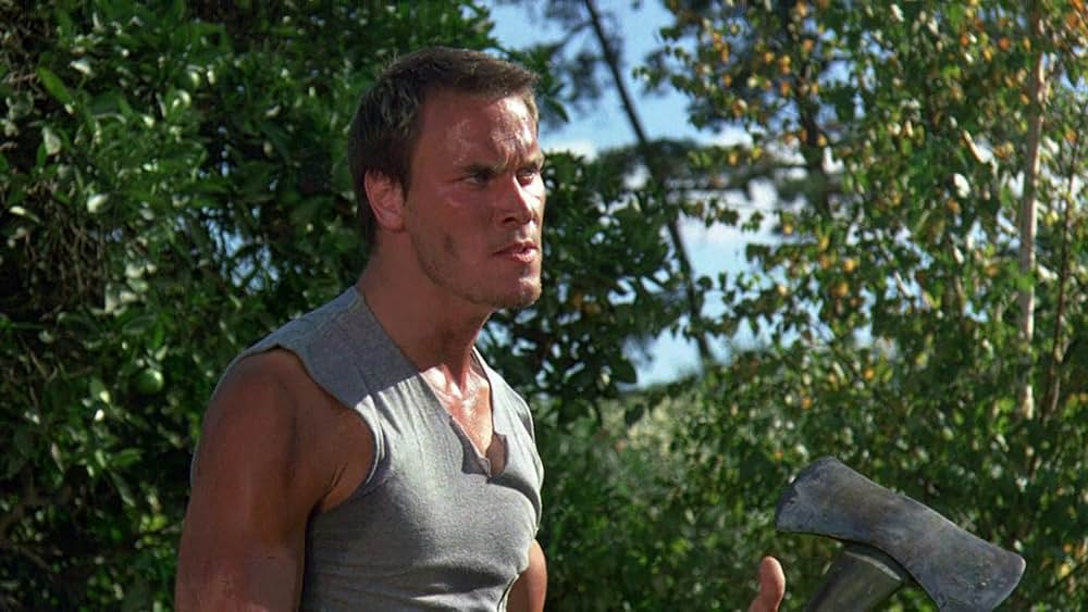 新・13日の金曜日の画像