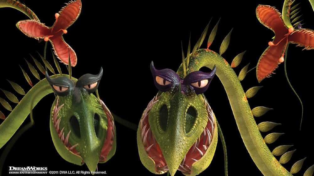 ドラゴンの書の画像