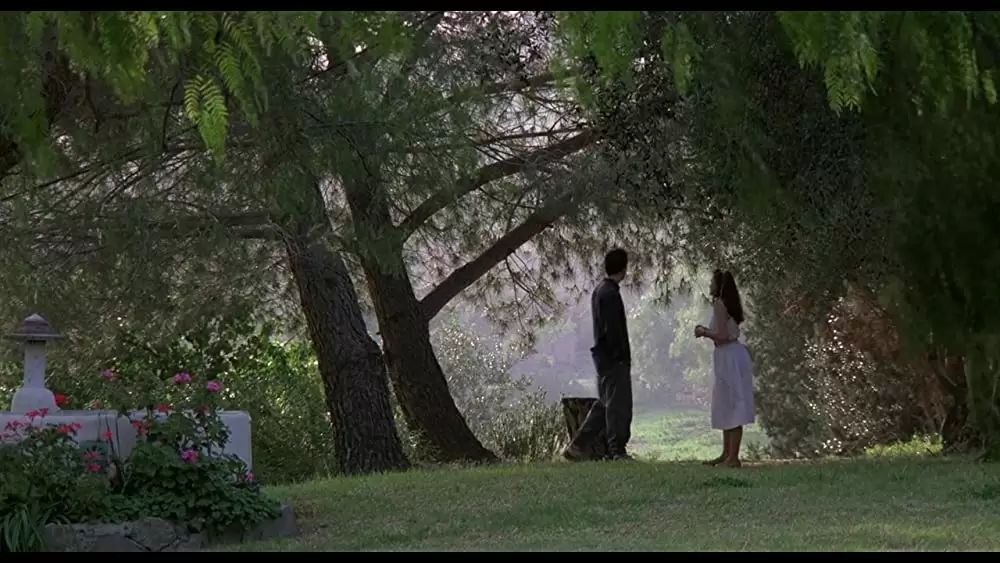 セイ・エニシングの画像