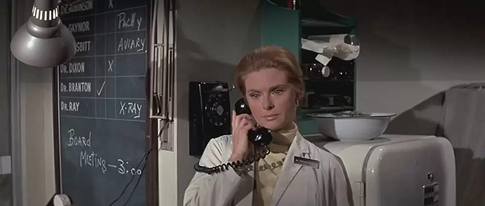 新・猿の惑星の画像