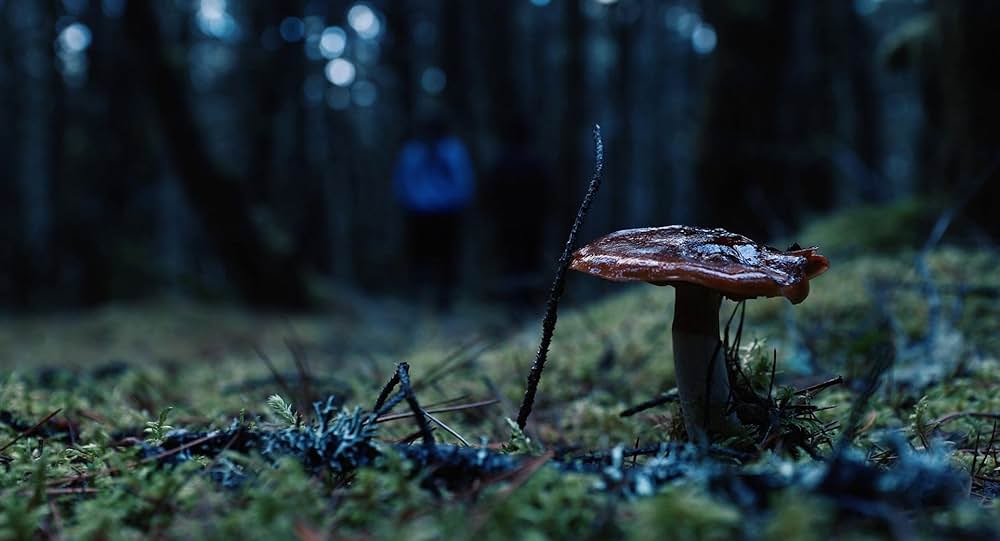 Hellbender（原題）の画像