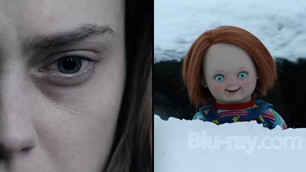 チャイルド・プレイ~チャッキーの狂気病棟~の画像