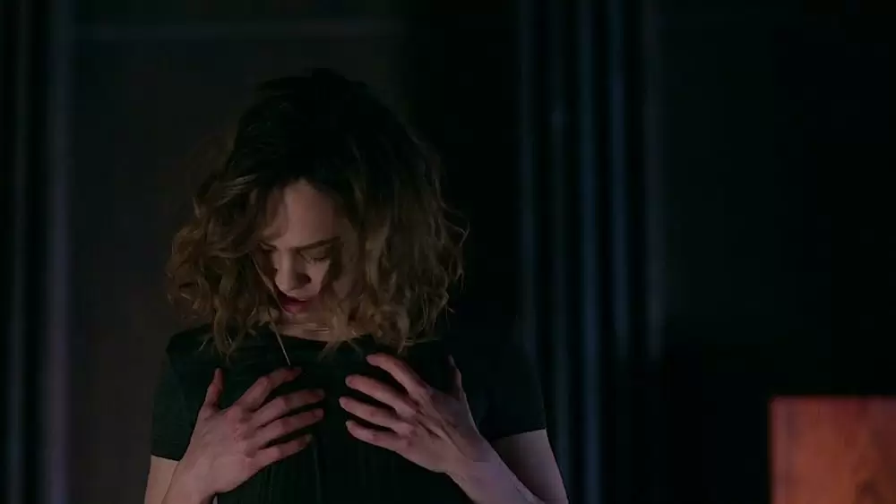 チャイルド・プレイ~チャッキーの狂気病棟~の画像