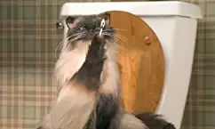 最‘愛’絶叫計画の画像