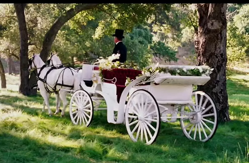 最‘愛’絶叫計画の画像