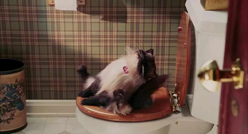 最‘愛’絶叫計画の画像