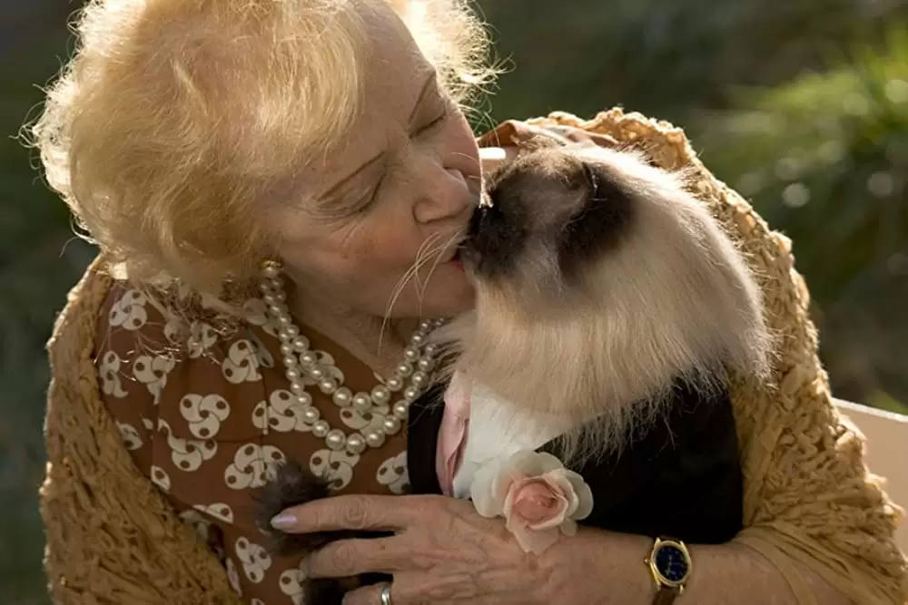 「最‘愛’絶叫計画」Beverly Polcynの画像