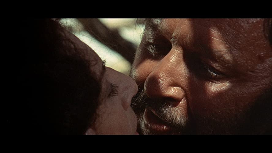 夕陽のギャングたちの画像