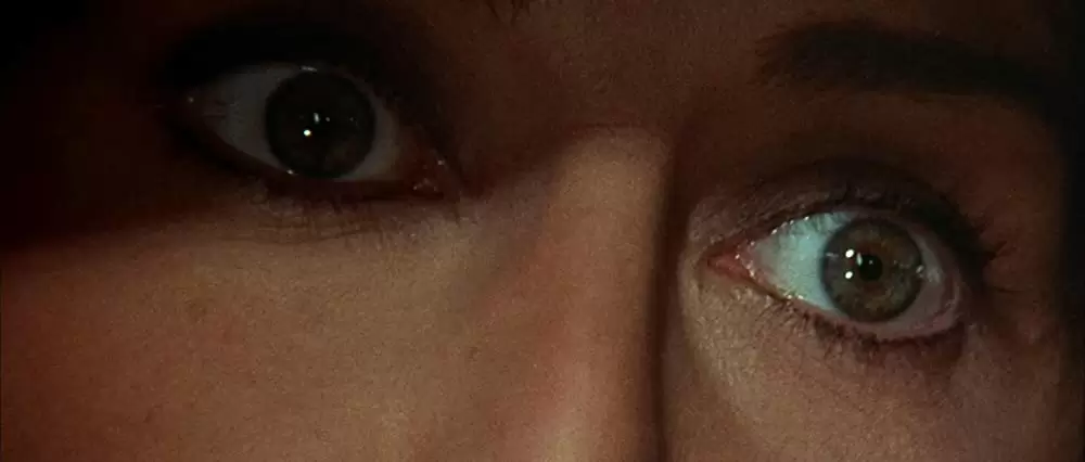 夕陽のギャングたちの画像