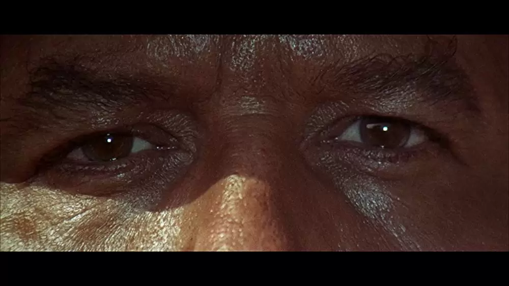 夕陽のギャングたちの画像