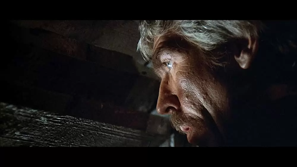 夕陽のギャングたちの画像