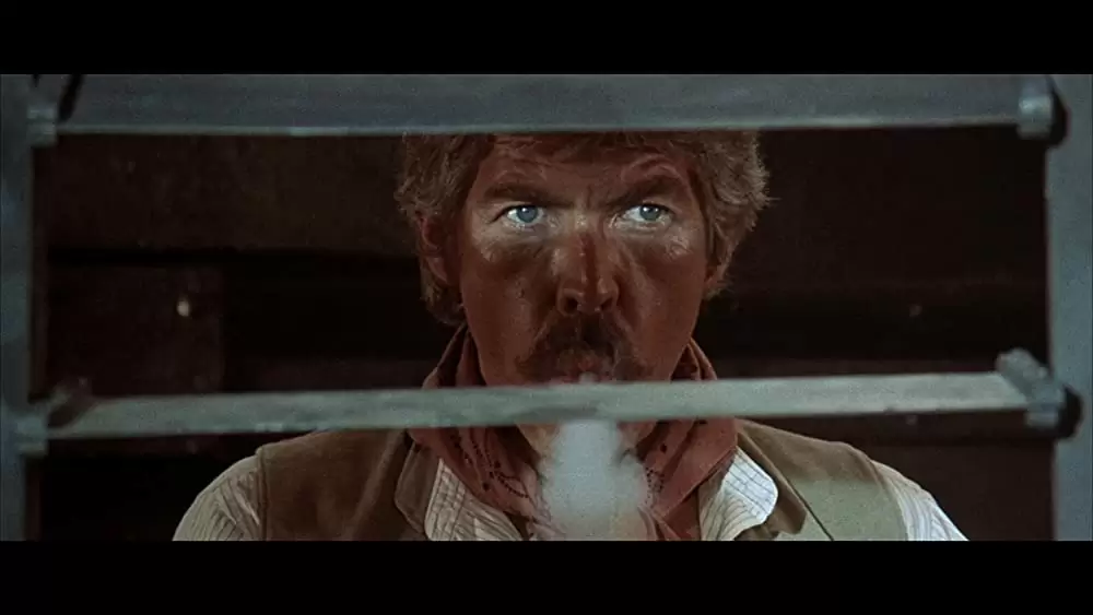 夕陽のギャングたちの画像