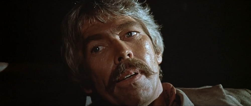 夕陽のギャングたちの画像