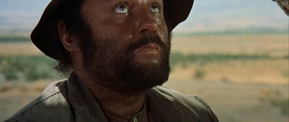 夕陽のギャングたちの画像