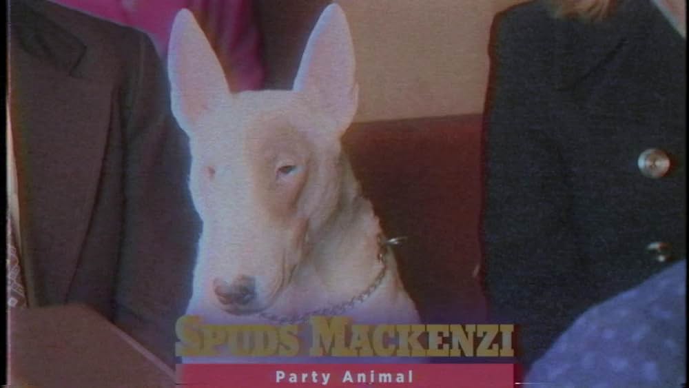 ファニー・オア・ダイ: ドナルド・トランプのアメリカを変えちゃう男 ザ・ムービーの画像