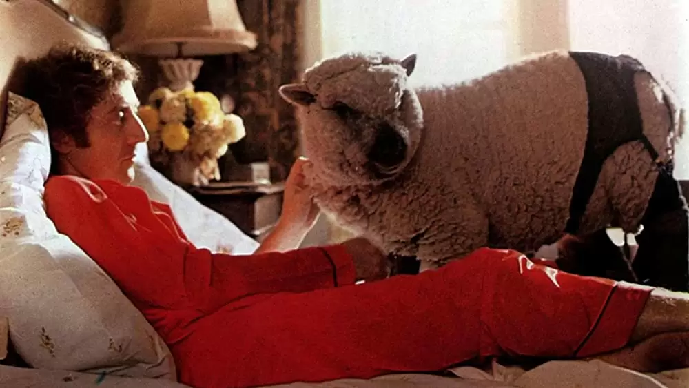 「ウディ・アレンの誰でも知りたがっているくせにちょっと聞きにくいSEXのすべてについて教えましょう」ジーン・ワイルダーの画像