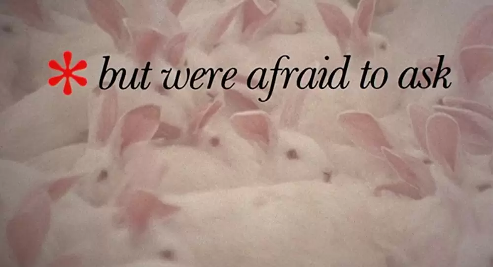 ウディ・アレンの誰でも知りたがっているくせにちょっと聞きにくいSEXのすべてについて教えましょうの画像