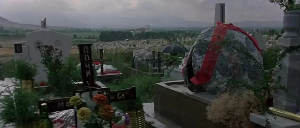 ピースメーカーの画像