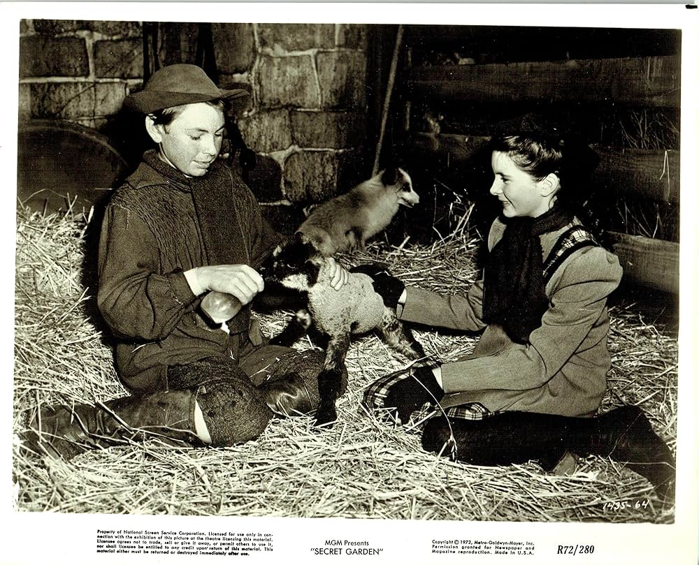 秘密の花園の画像