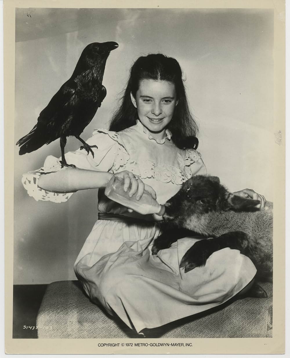 秘密の花園の画像