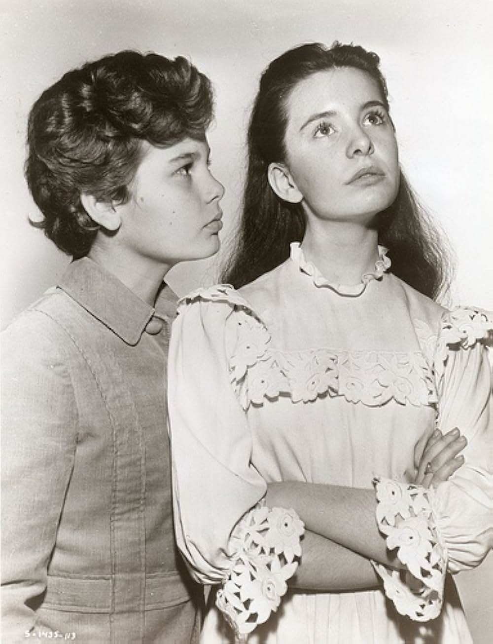 秘密の花園の画像