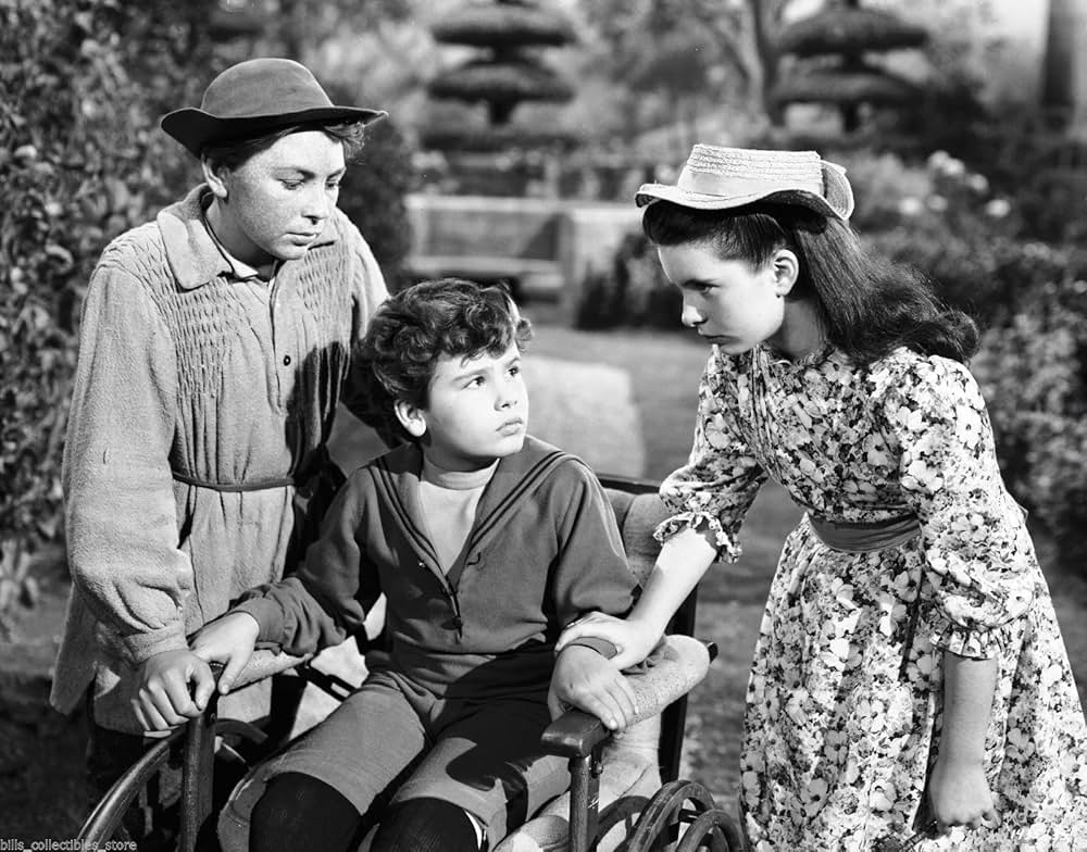 秘密の花園の画像