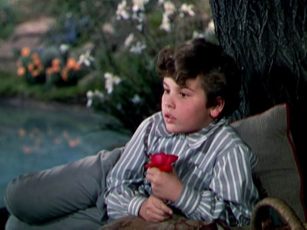 秘密の花園の画像