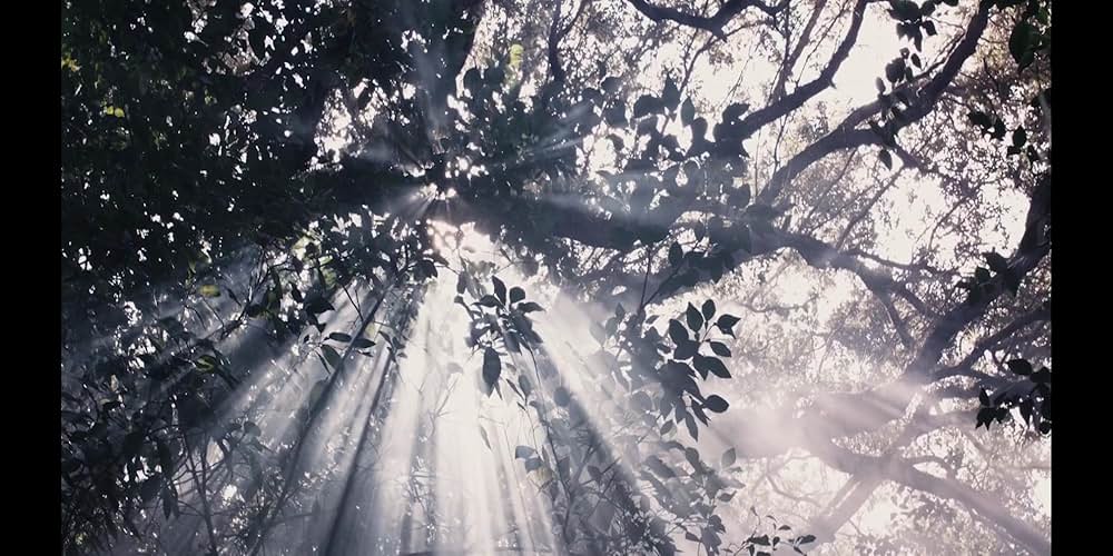 デビルズツリー：根ざした悪の画像