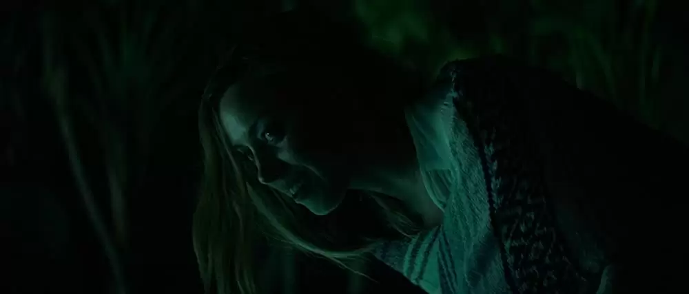 「イングリッド ネットストーカーの女」オーブリー・プラザの画像