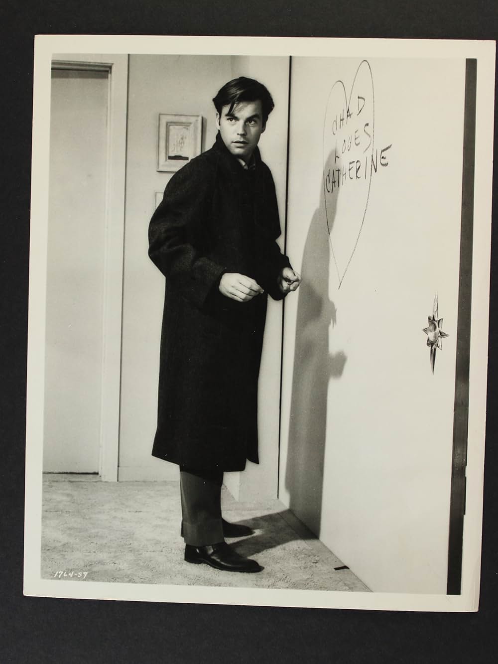 夜が泣いているの画像