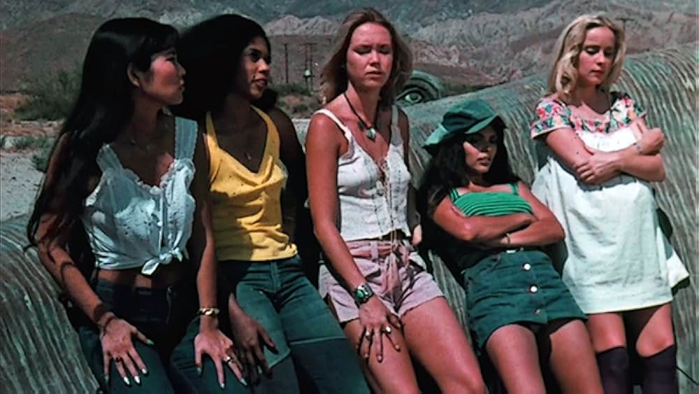 Revenge of the Cheerleaders（原題）の画像