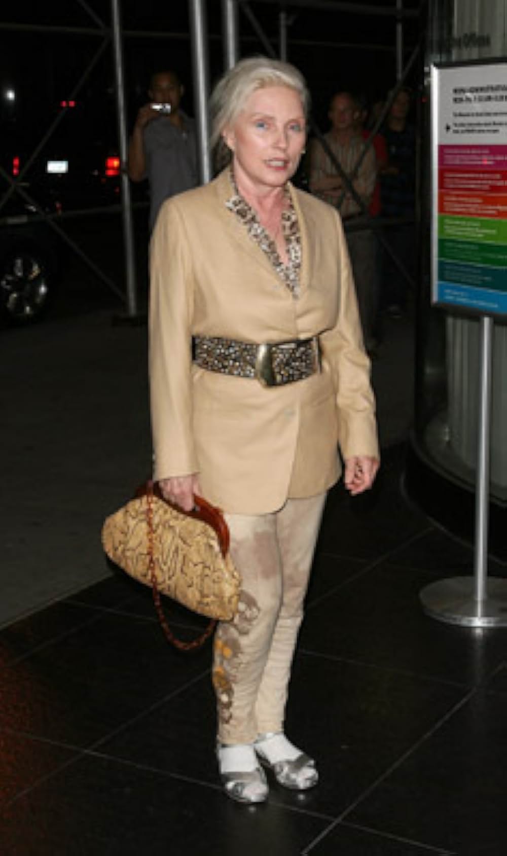 恋のロンドン狂騒曲の画像