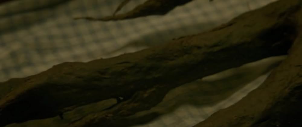 German Angst（原題）の画像