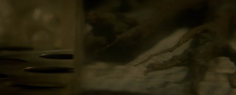 German Angst（原題）の画像