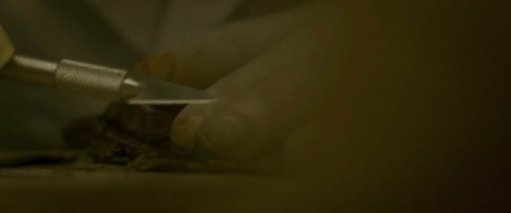 German Angst（原題）の画像