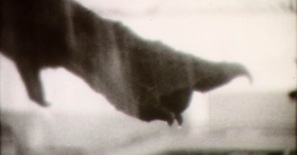 German Angst（原題）の画像