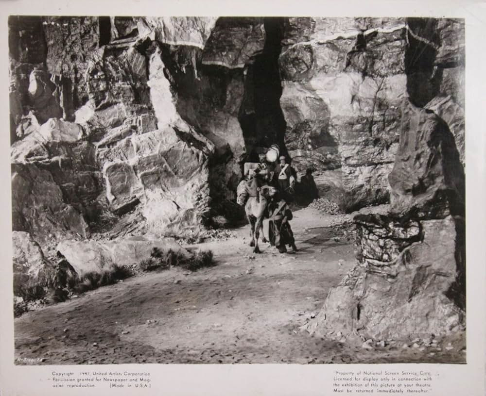 魅惑の魔女の画像